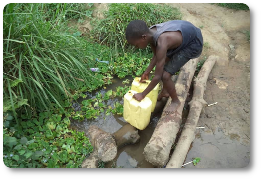 Gathering water.